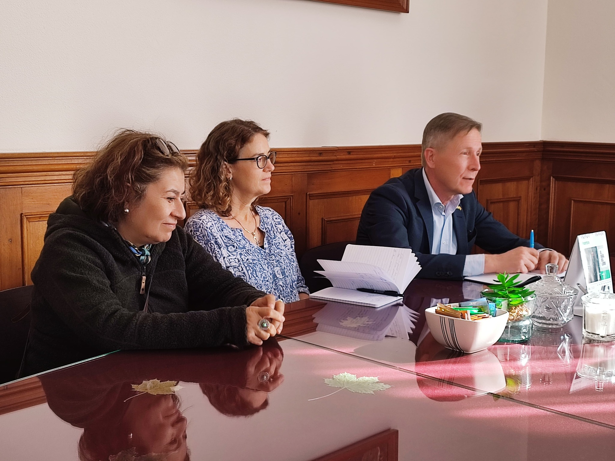 Auditoría financiera a fondos Asdi (2019)